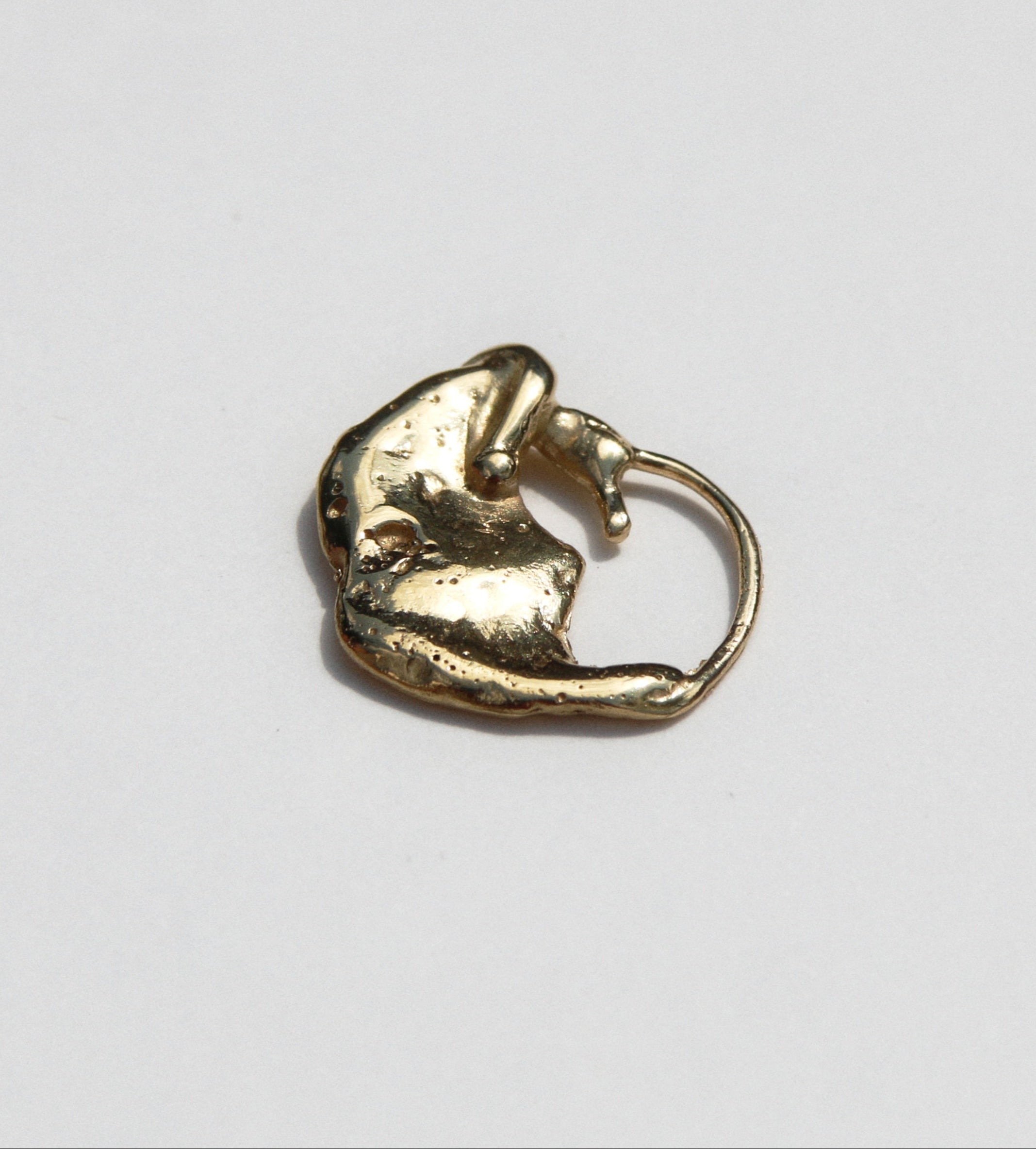 Lunar seahorse
